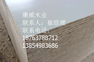 草莓视频下载观看 草莓视频下载观看